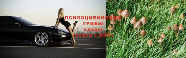 кристаллы Бородино